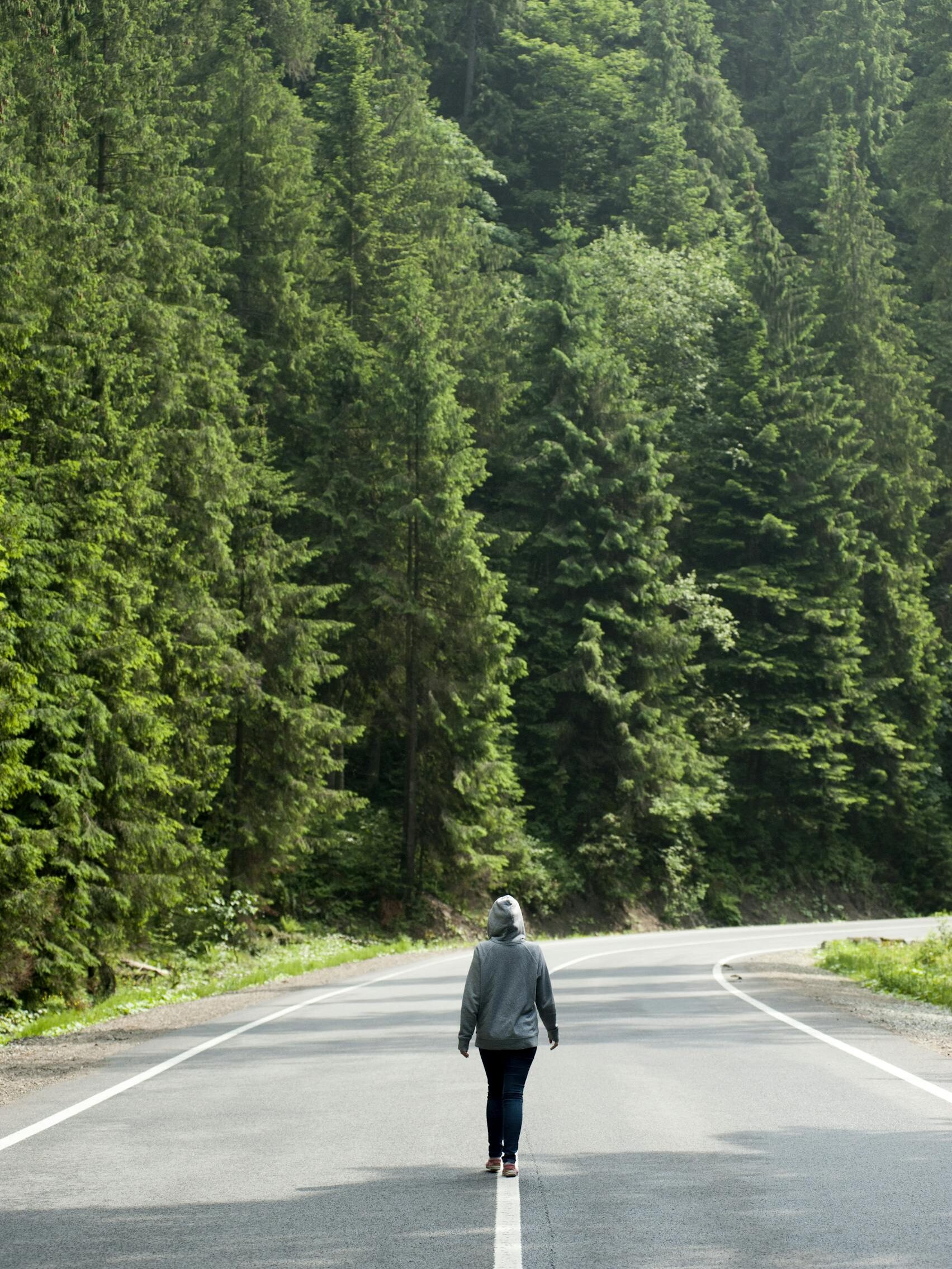 Person walking on a quiet road surrounded by lush forests in Ukraine.